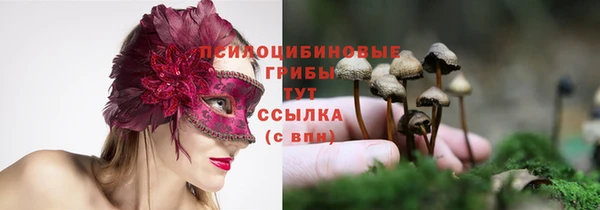 дмт Абдулино