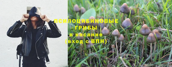 дмт Абдулино