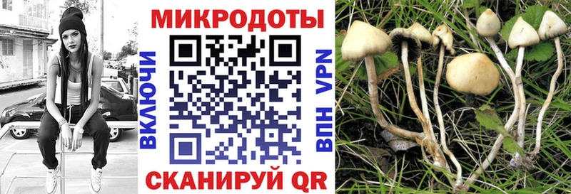 KRAKEN ТОР  Псков  Галлюциногенные грибы Magic Shrooms 